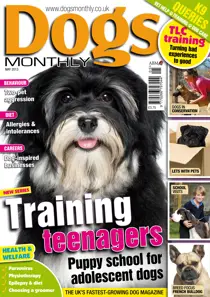 Dogs Monthly May 2013 
                issue Dogs Monthly May 2013