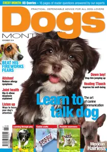 Dogs Monthly November 14 
                issue Dogs Monthly November 14