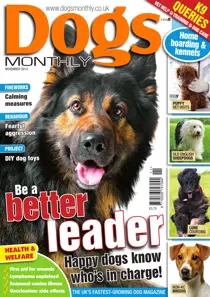 Dogs Monthly November 2013 
                issue Dogs Monthly November 2013