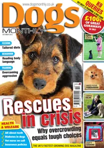 Dogs Monthly October 2012 
                issue Dogs Monthly October 2012