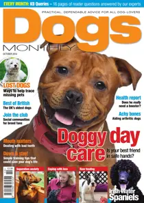 Dogs Monthly October 2014 
                issue Dogs Monthly October 2014