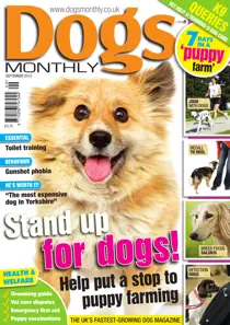 Dogs Monthly September 2013 
                issue Dogs Monthly September 2013