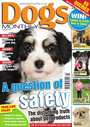 Dogs Monthly Preview