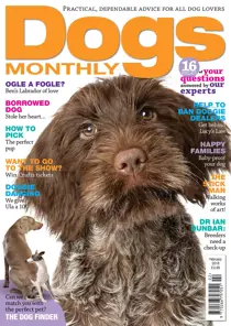 February 2018 
                issue February 2018