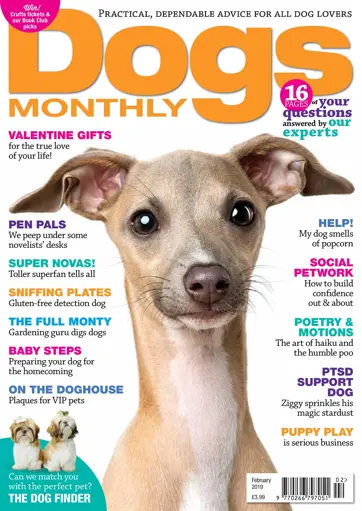 Dogs Monthly Preview