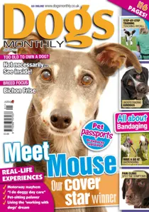 January 2011 
                issue January 2011