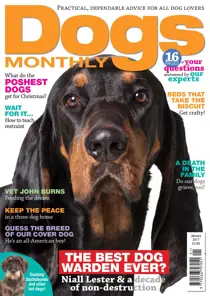 January 2017 
                issue January 2017