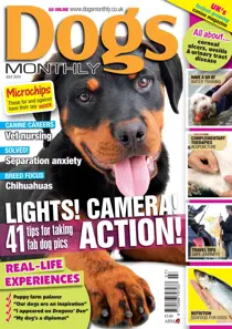 July 2010 
                issue July 2010