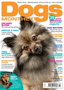 July 2019 
                issue July 2019