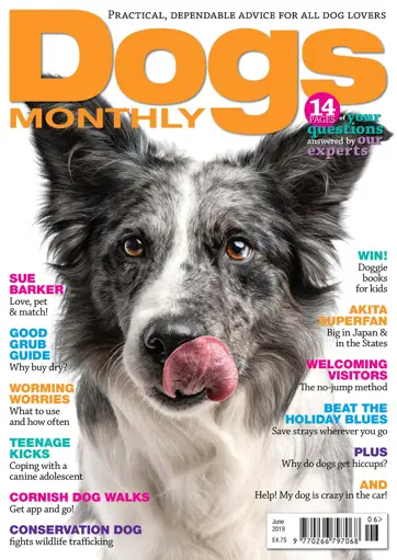 Dogs Monthly Preview