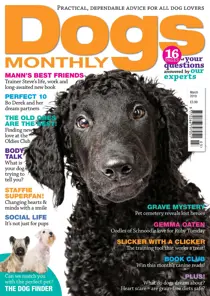 March 2019 
                issue March 2019