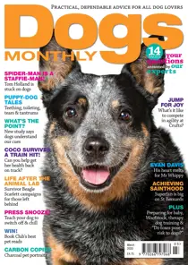 Dogs Monthly 
                issue Dogs Monthly