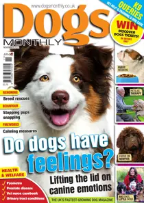 November 2012 
                issue November 2012