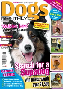 September 2010 
                issue September 2010