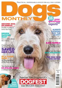 September 2016 
                issue September 2016