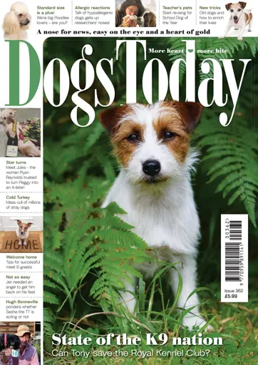 Dogs Today Magazine Preview