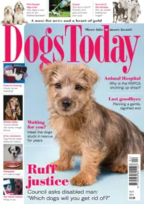 April 2015 
                issue April 2015