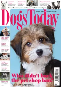 April 2017 
                issue April 2017