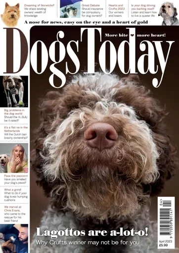 Dogs Today Magazine Preview