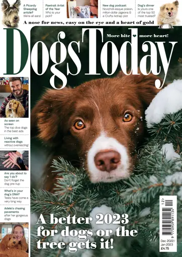 Dogs Today Magazine Preview