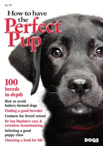 How To Have The Perfect Pup 
                issue How To Have The Perfect Pup