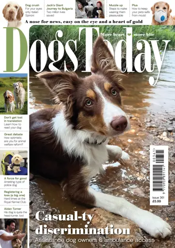 Dogs Today Magazine Preview