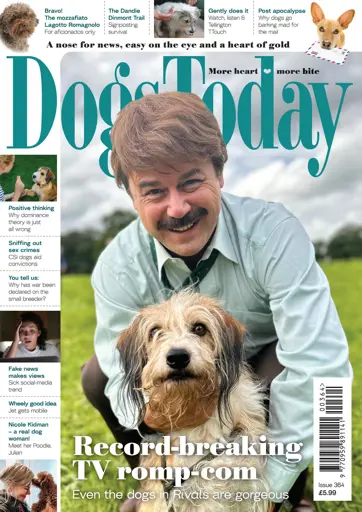 Dogs Today Magazine Preview