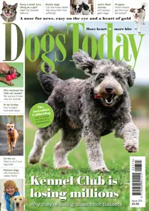 Dogs Today Magazine issue Issue 375