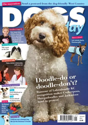 Dogs Today Magazine Preview