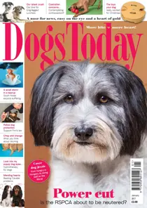 January 2017 
                issue January 2017