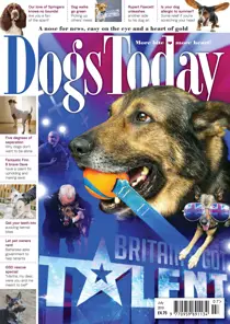 July 2019 
                issue July 2019