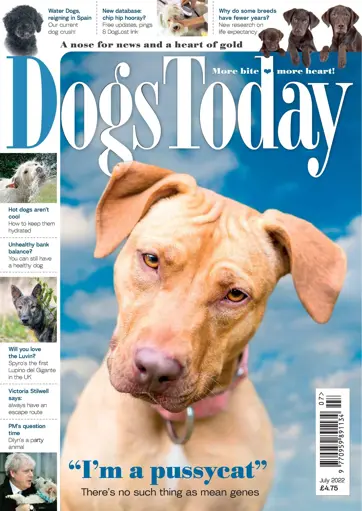 Dogs Today Magazine Preview