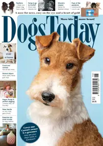 June 2020 
                issue June 2020