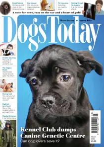 Dogs Today Magazine March 2024