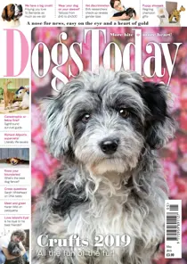 May 2019 
                issue May 2019