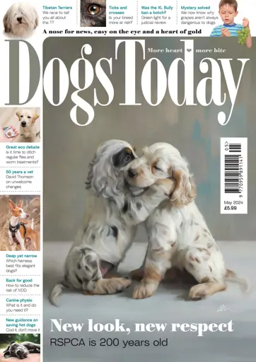 Dogs Today Magazine - May 2024 Back Issue