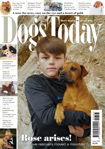 Dogs Today Magazine Preview