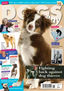 November 2013 
                issue November 2013