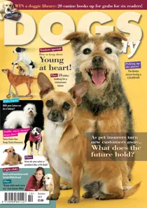 October 2013 
                issue October 2013