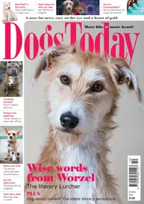 October 2016 
                issue October 2016