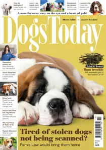 October 2019 
                issue October 2019