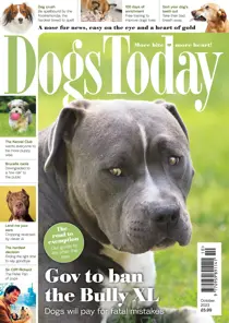 Dogs Today Magazine October 2023