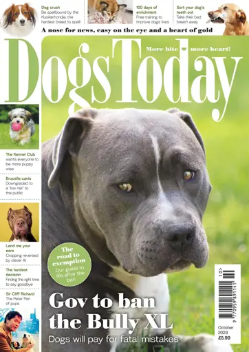 Dogs Today Magazine Preview