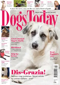 September 2015 
                issue September 2015