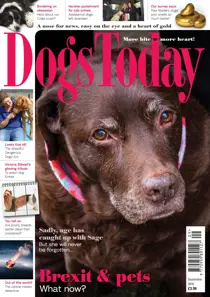 September 2016 
                issue September 2016