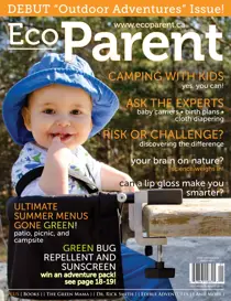 Summer 2012 
                issue Summer 2012