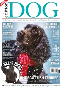 Issue 25 
                issue Issue 25