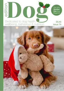Edition Dog 74 
                issue Edition Dog 74