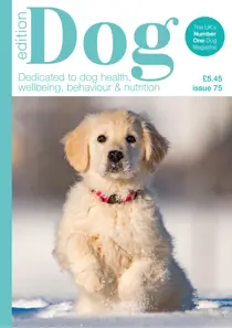 Edition Dog 75 
                issue Edition Dog 75