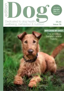 Edition Dog 76 
                issue Edition Dog 76